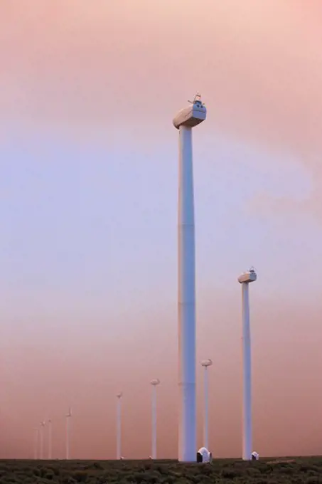 Line of Wind Turbines Under Construction