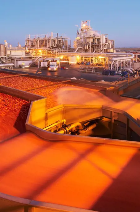 Raw processing tomatoes pour through a flume en route to the initial phases of processing at a facility near Los Banos, California. After being offloaded at a dump station, raw processing tomatoes pour through a flume toward the first phases of a process that will convert them into tomato paste.