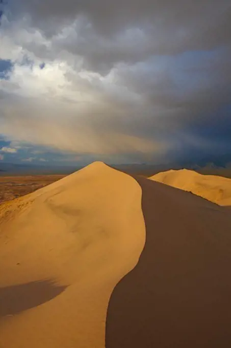 Sunset light reveals the elegant curves of the Kelso Dunes as a storm passes, near Amboy, Mojave National Preserve, California.