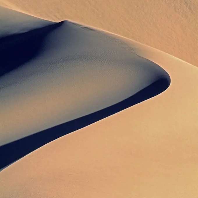 Choreography of Light and Shadow Along the Arc of a Dune