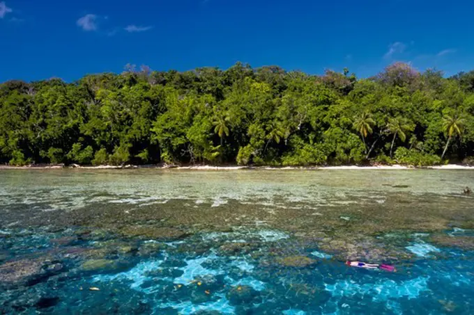 Snorkeling Near Tropical Island