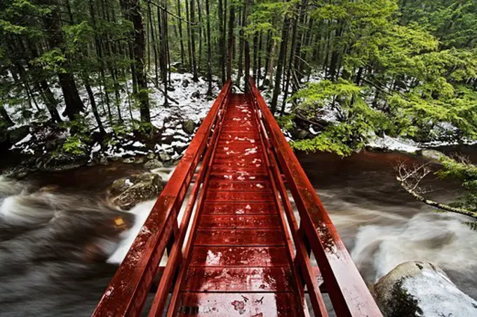 Early winter in Tamworth, New Hampshire proved to be a wet one. All the rivers were flooded and fast. This bridge leads hikers from the road into the Hemenway State Forest.