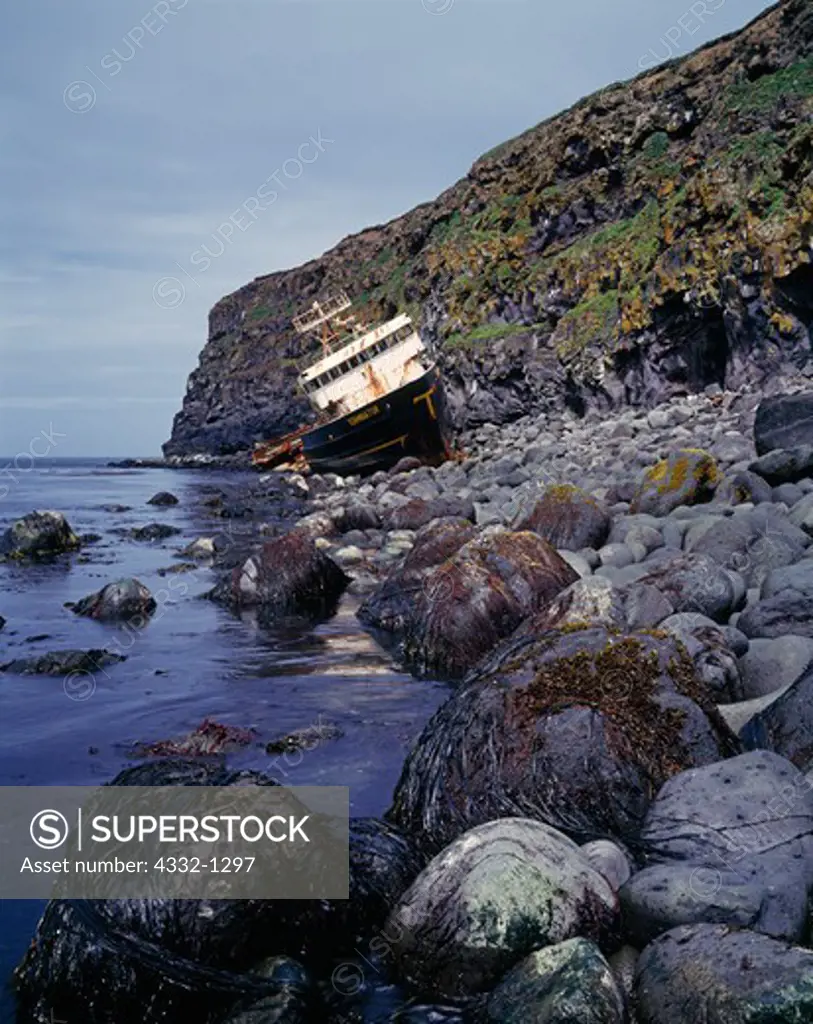 Shipwreck of the 157-foot F/V Terminator on the west shore of Saint Paul Island, Pribilof Islands, Bering Sea, Alaska.