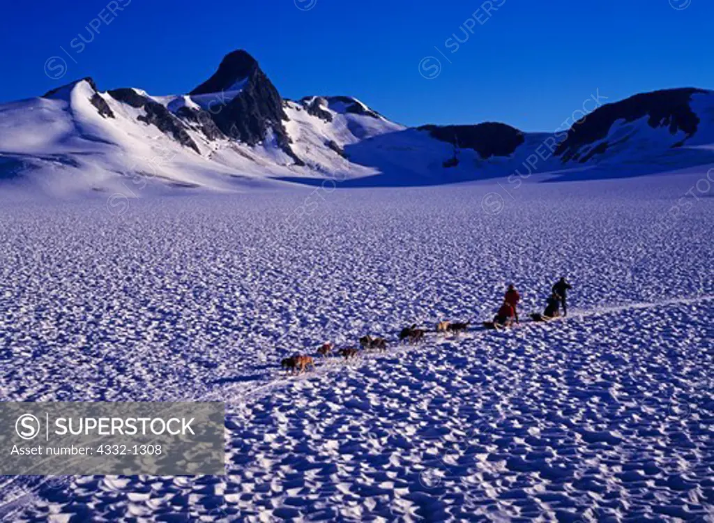 Aerial view of musher Lorraine Temple giving a sled dog tour, Middle Branch of the Norris Glacier, Juneau Icefield, Tongass National Forest, Alaska.