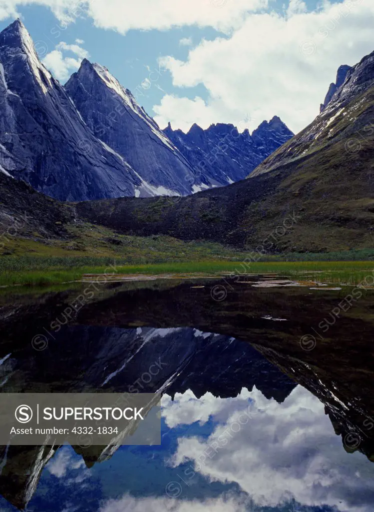 West Maiden and Camel of the Arrigetch Peaks reflected in alpine