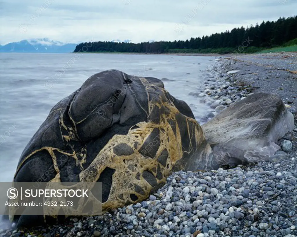 Brecciated boulder with dike and embedded rock fragments, outer shore of Khantaak Island, Yakutat Bay, Tongass National Forest, Alaska.