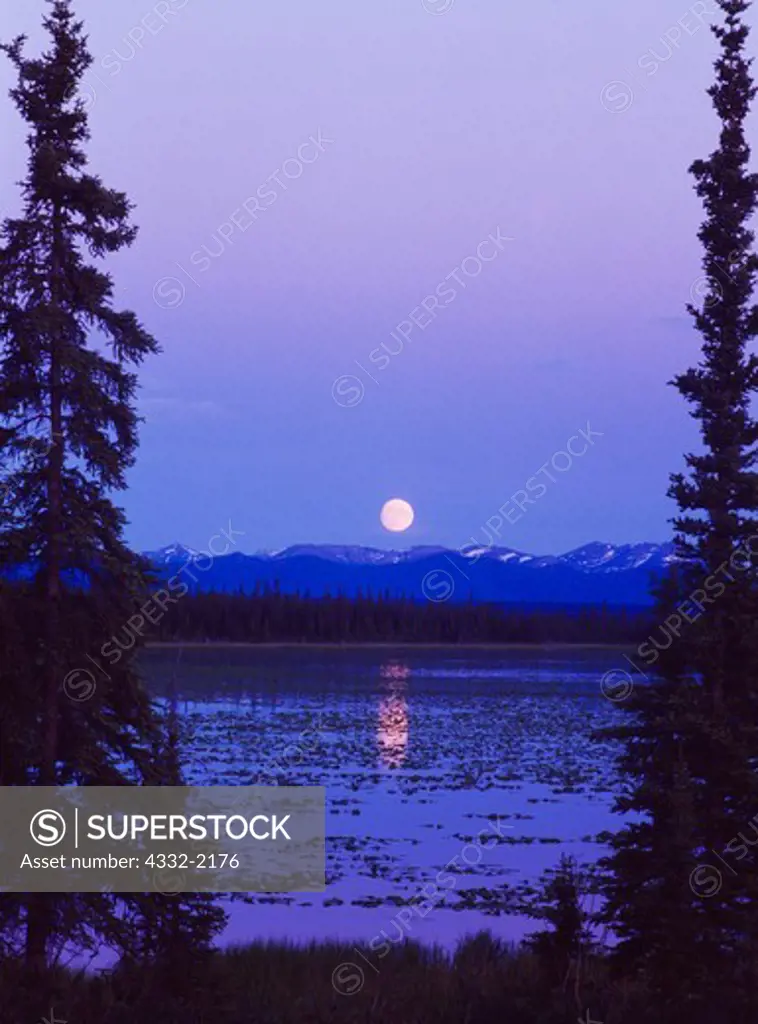 Nearly full moon rising over small lake west of Glennallen, Alaska.