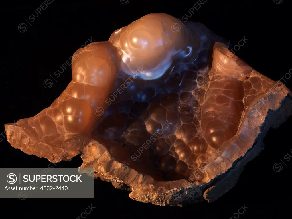 Brown Chalcedony, Gallatin Mountains, Montana.