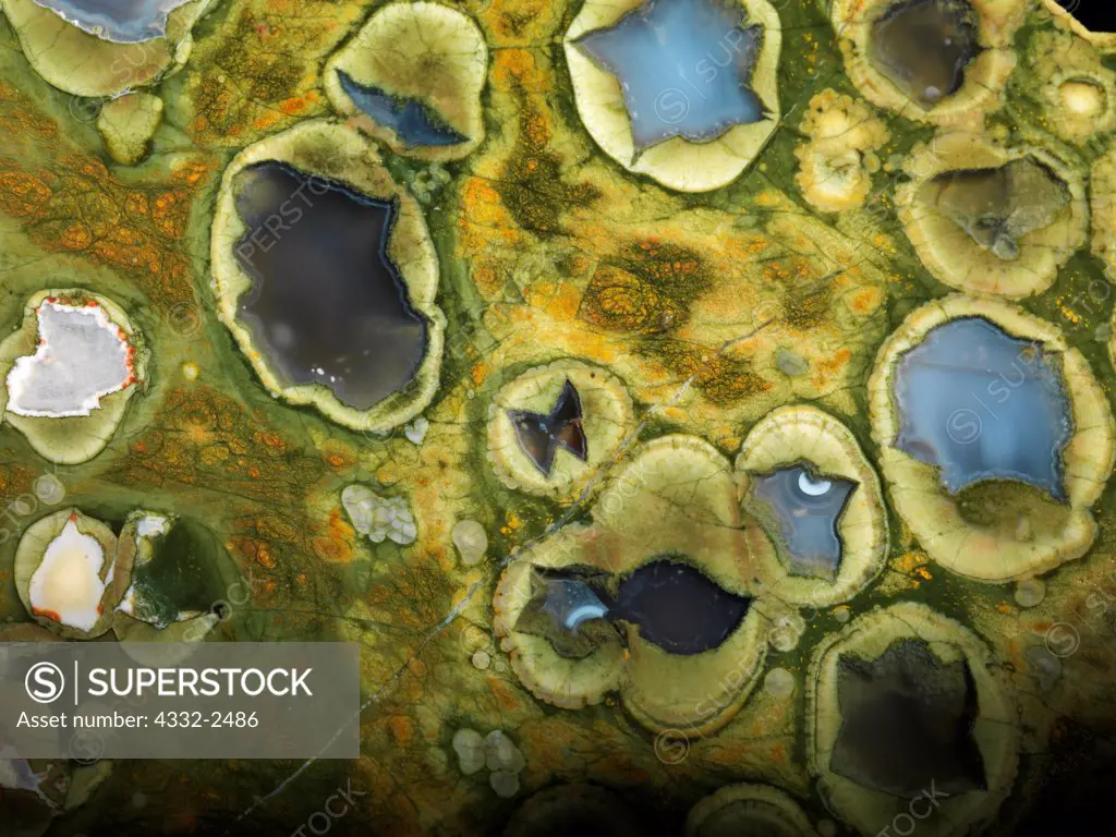 Cross-section of spherulitic rhyolite or rainforest jasper from Mount Hay in Queensland, near the town of Rockhampton, Australia.