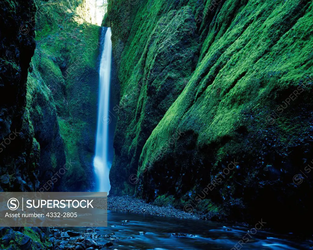 Oneonta Falls deep within Oneonta Gorge, Columbia River Gorge National Scenic Area, Mount Hood National Forest, Oregon.