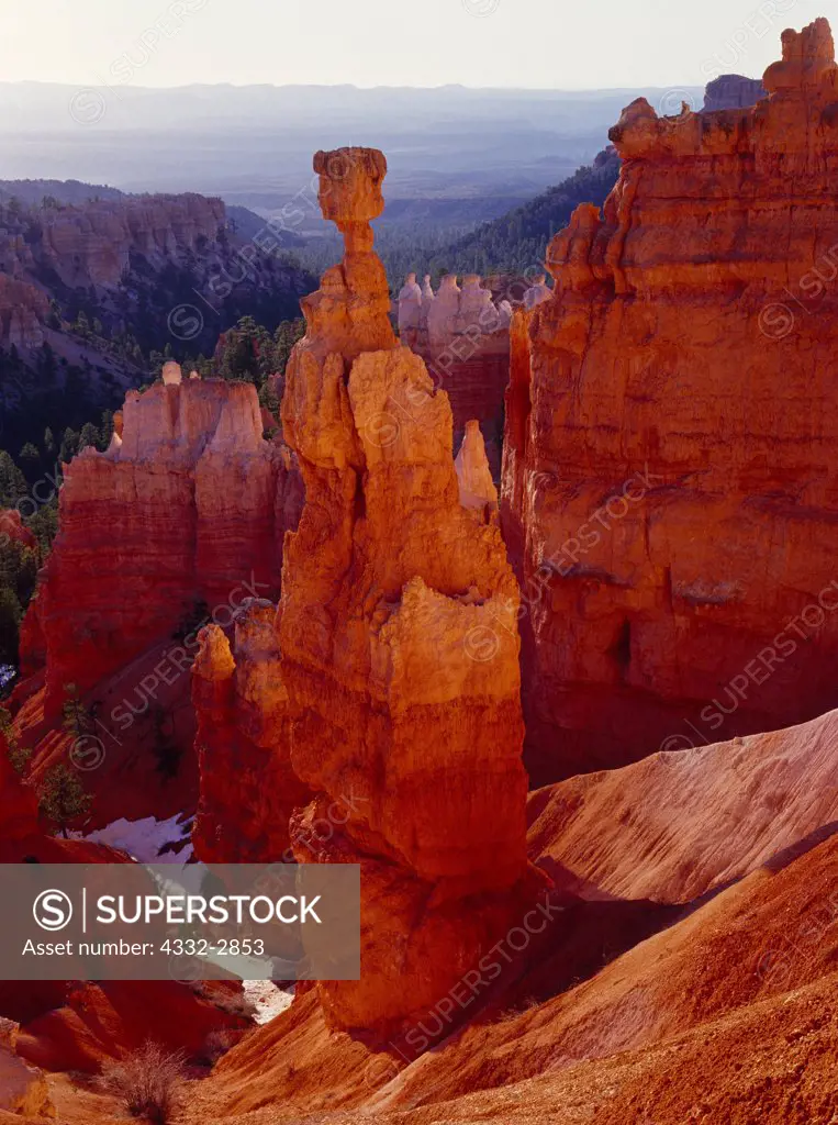 Thor's Hammer, Bryce Canyon National Park, Utah.