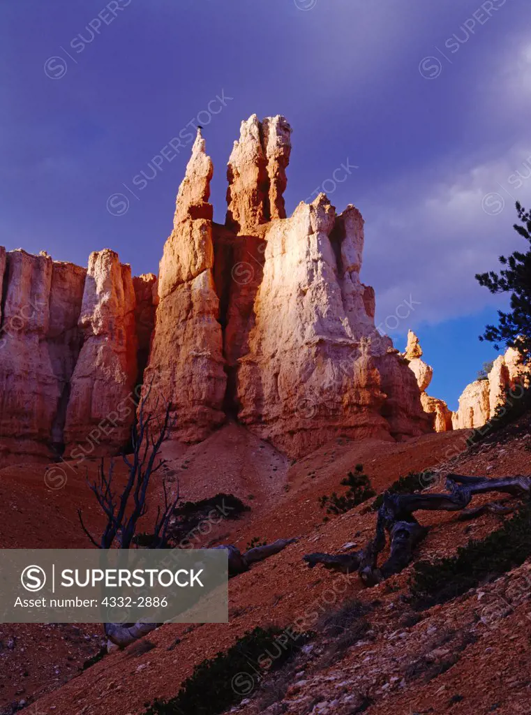 Lone raven perched on left spire of Gulliver's Castle, hoodoos in The Queen's Garden, Bryce Canyon National Park, Utah.