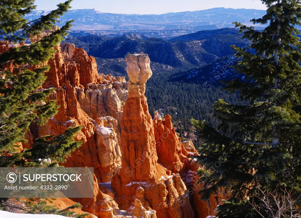 The Hunter, hoodoo of Claron Formation limestone, Agua Canyon, Bryce Canyon National Park, Utah.