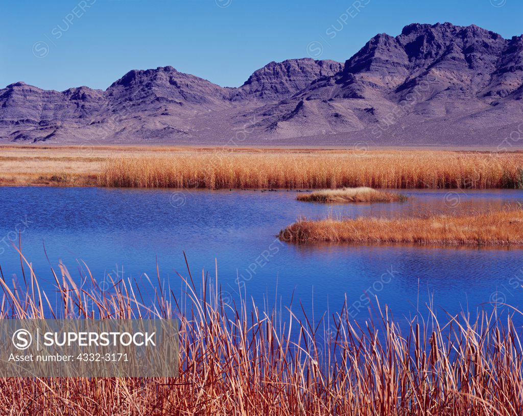 Comins Lake in the Spring – FisherDad