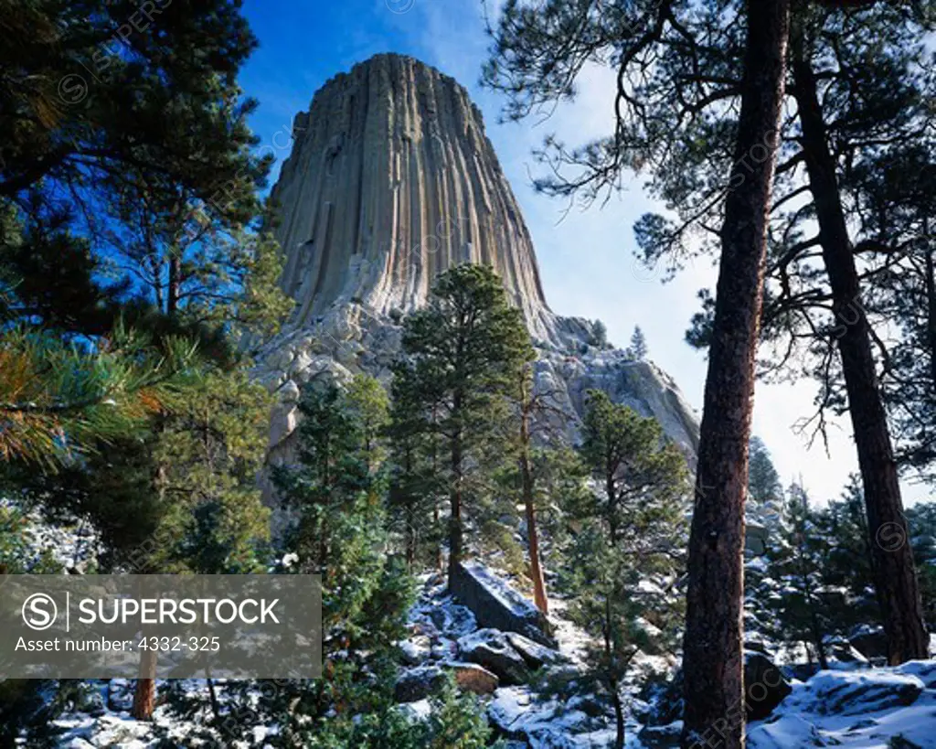 Devils Tower is a nearly vertical igneous monolith that rises 1,267 feet above the Belle Fourche River in Wyoming. It is thought to be around 40 million years old.