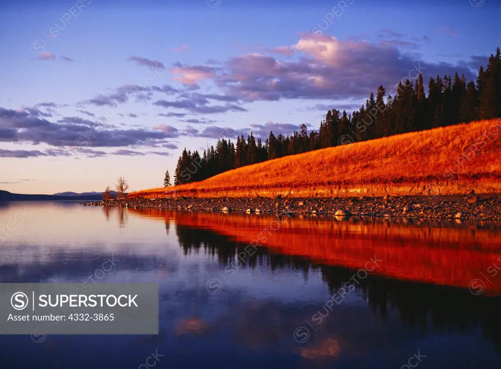 USA, Wyoming, Yellowstone National Park, Sunset light illuminating Park Point reflected in placid waters of Yellowstone Lake