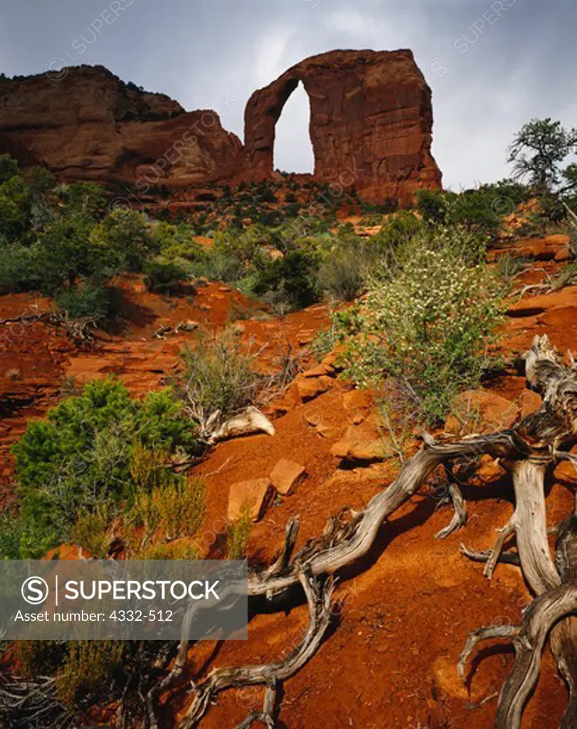 Cove Arch, also known as Royal Arch, Cove Mesa, Navajo Reservation, Arizona.