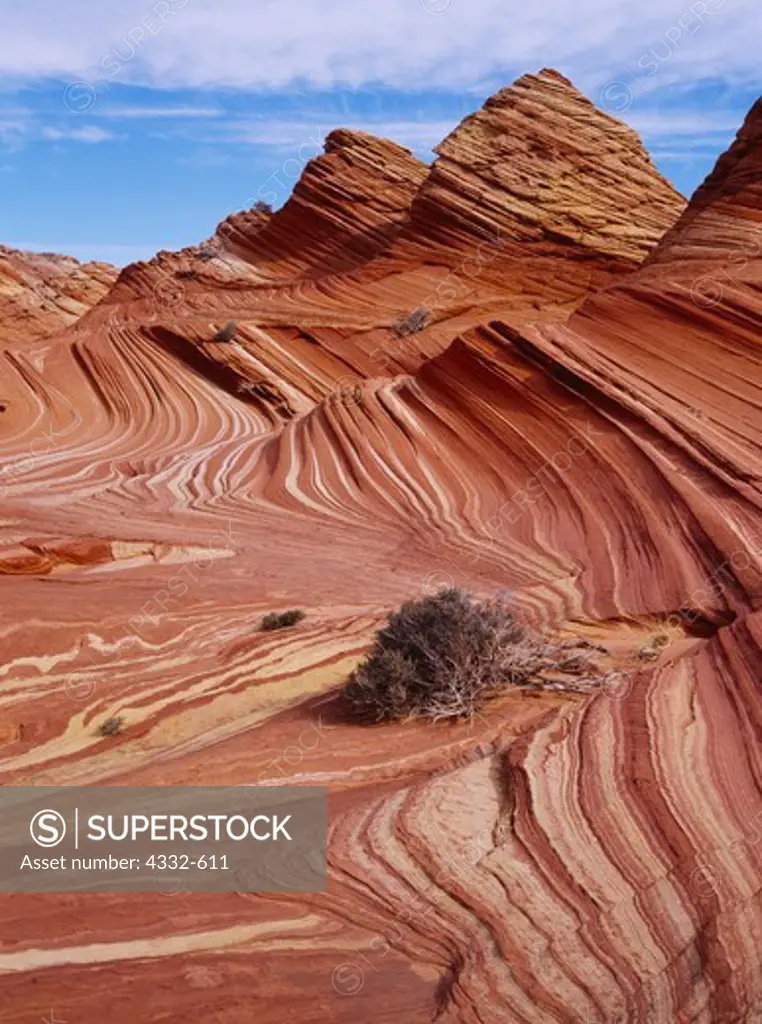 Cross-bedded beehive of colorful Navajo Sandstone, Vermilion Cliffs National Monument, Paria-Vermilion Cliffs Wilderness, Arizona.