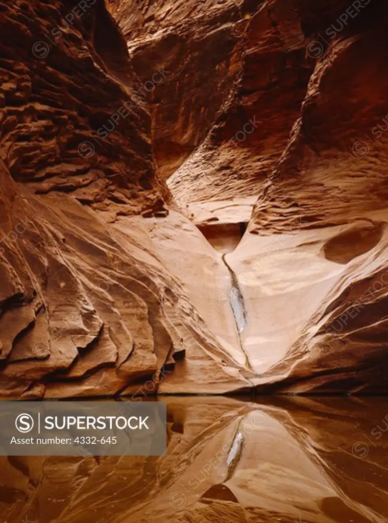 Sculpted walls above pool in North Canyon, tributary to Marble Canyon, Grand Canyon National Park, Arizona.