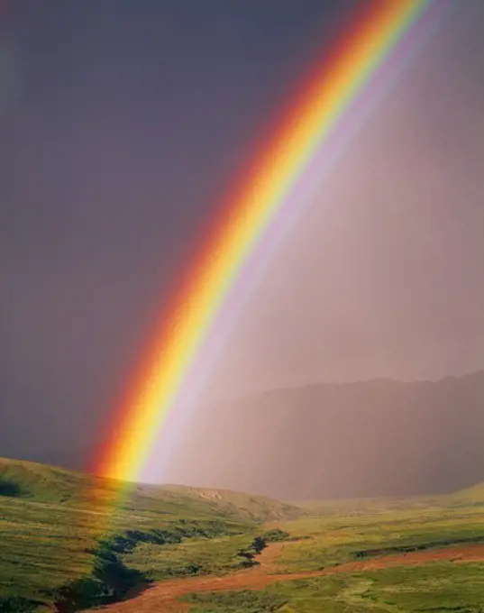 Brilliant rainbow above a tributary to Stony Creek, Denali National Park, Alaska.