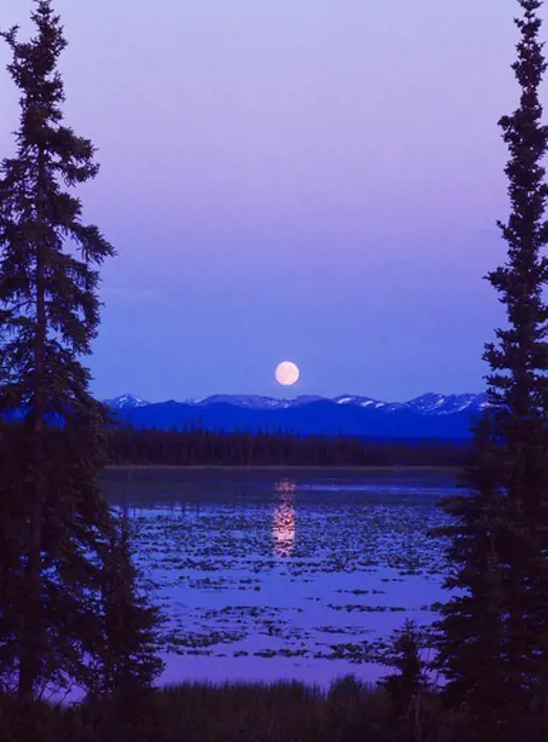 Nearly full moon rising over small lake west of Glennallen, Alaska.