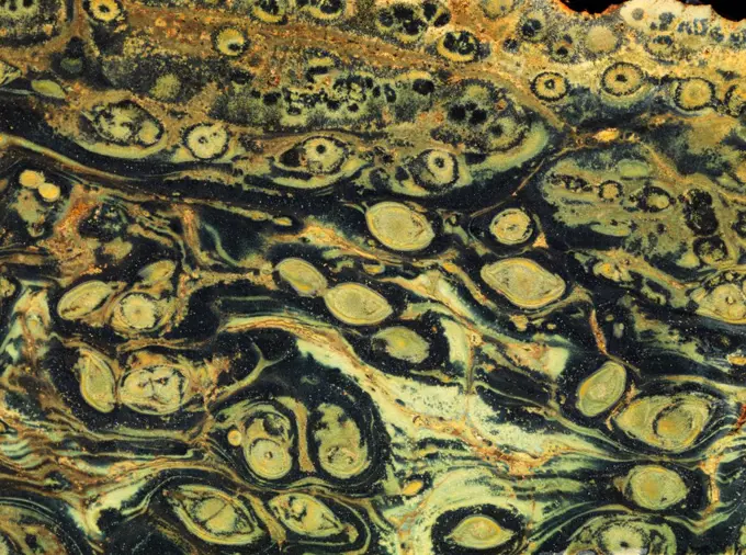 Kambaba Jasper, fossilized stromatolite algae from Africa.