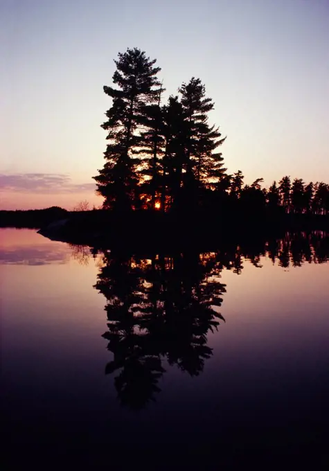 White pine reflected in Nym Lake, Quetico Provinicial Park, Ontario, Canada.