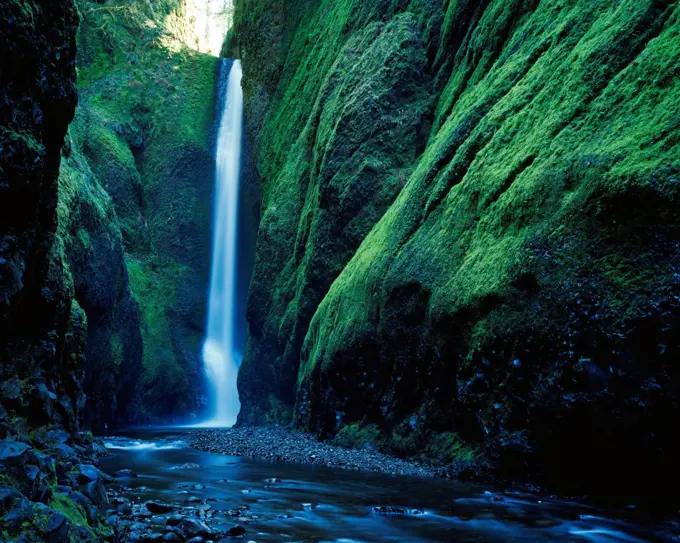 Oneonta Falls deep within Oneonta Gorge, Columbia River Gorge National Scenic Area, Mount Hood National Forest, Oregon.