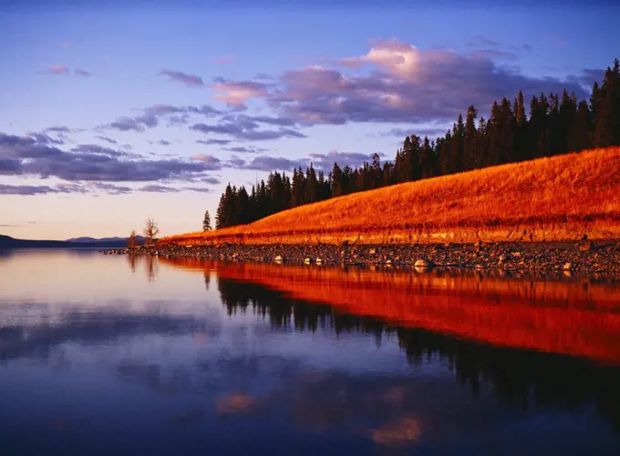 USA, Wyoming, Yellowstone National Park, Sunset light illuminating Park Point reflected in placid waters of Yellowstone Lake