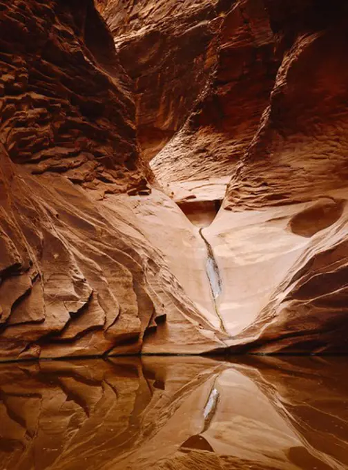 Sculpted walls above pool in North Canyon, tributary to Marble Canyon, Grand Canyon National Park, Arizona.