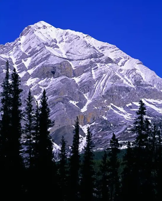 Folded Mountain, Sentinel Range, Northern Rocky Mountains, Muncho Lake Provincial Park, British Columbia, Canada.