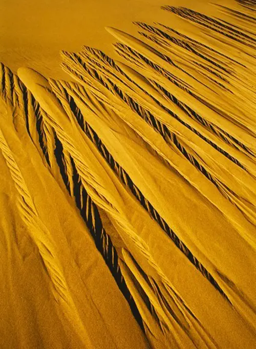 Pattern of sloughing sand on steep slope of Eureka Sand Dunes, Eureka Valley, California, Death Valley National Park, California.