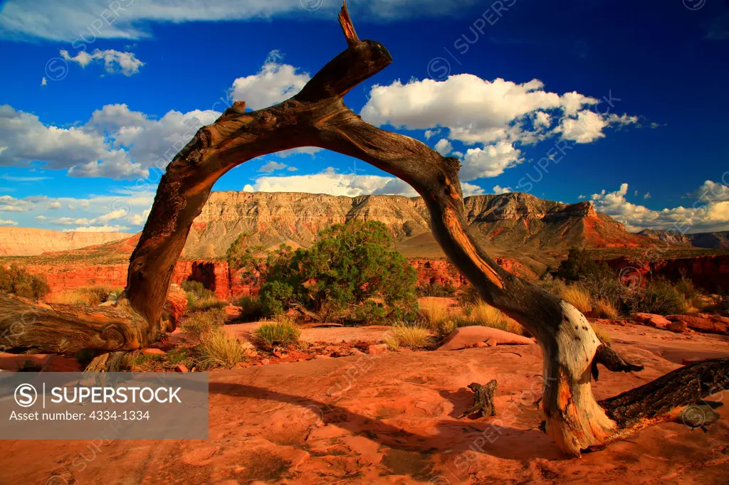 Rock formations in a canyon from Toroweap/Tuweep Area, North Rim, Grand Canyon, Grand Canyon National Park, Arizona, USA