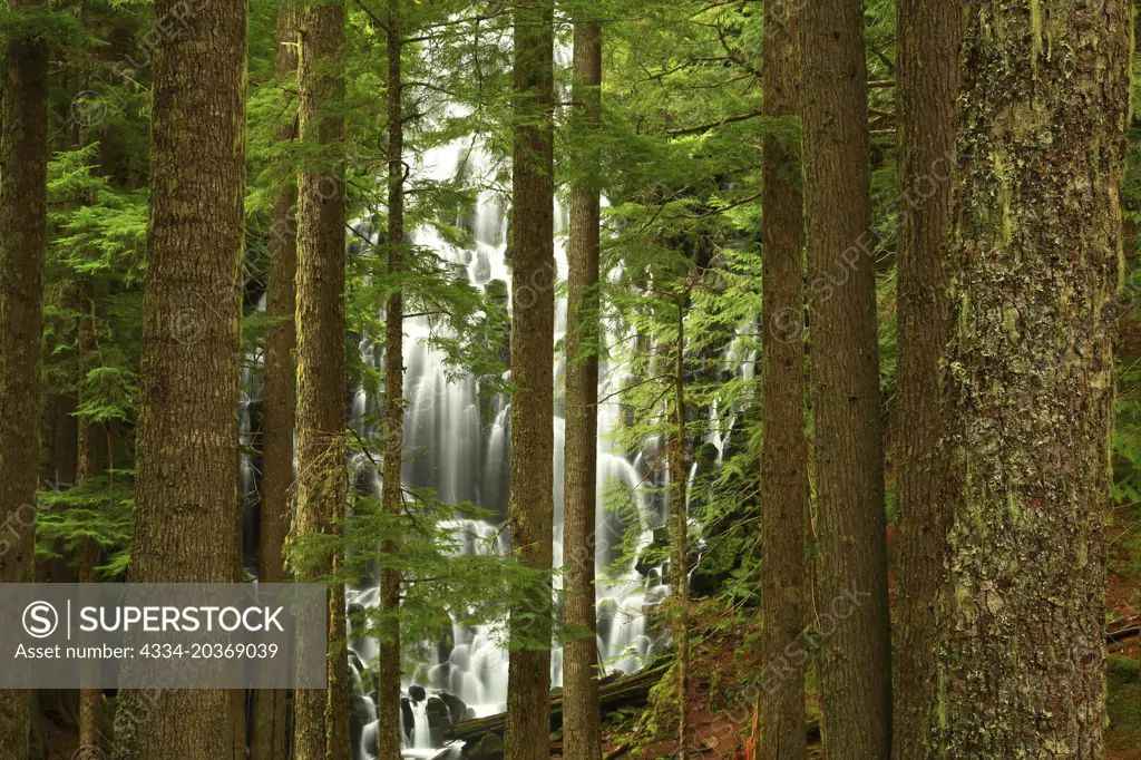 Ramano Falls in The Mt Hood Wilderness In Mt Hood National Forest Of Oregon