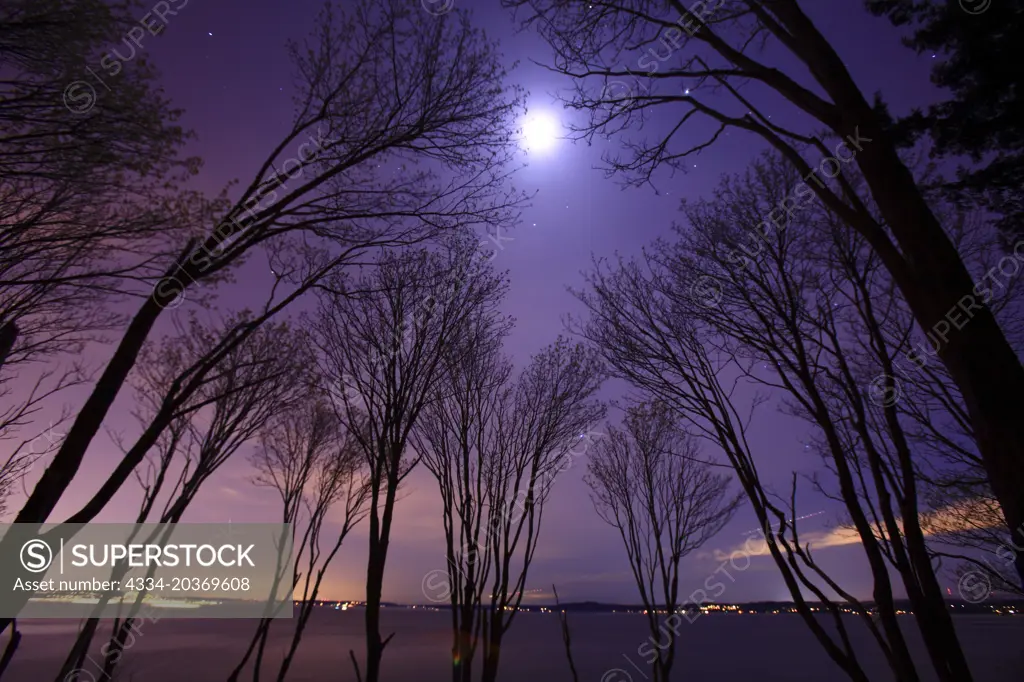 Night Photograph From Discover Park in Seattle Washington