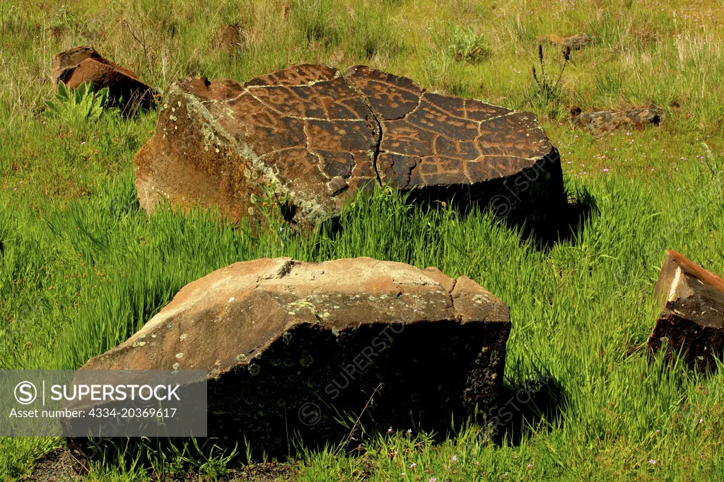 Petroglyphs in Columbia Hills State Park on the Columbia River in Washington