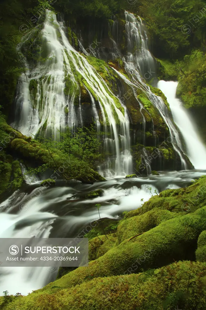 Panther Creek Falls in Skamania County in ther Gifford Pinchot National Forest of Washington