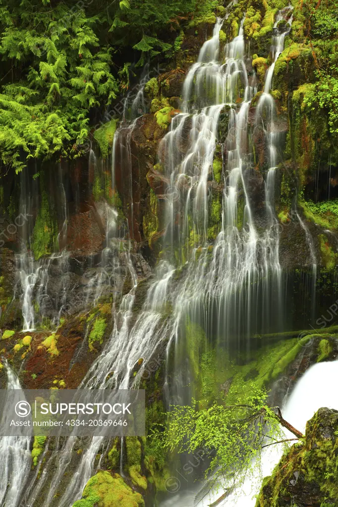 Panther Creek Falls in Skamania County in ther Gifford Pinchot National Forest of Washington