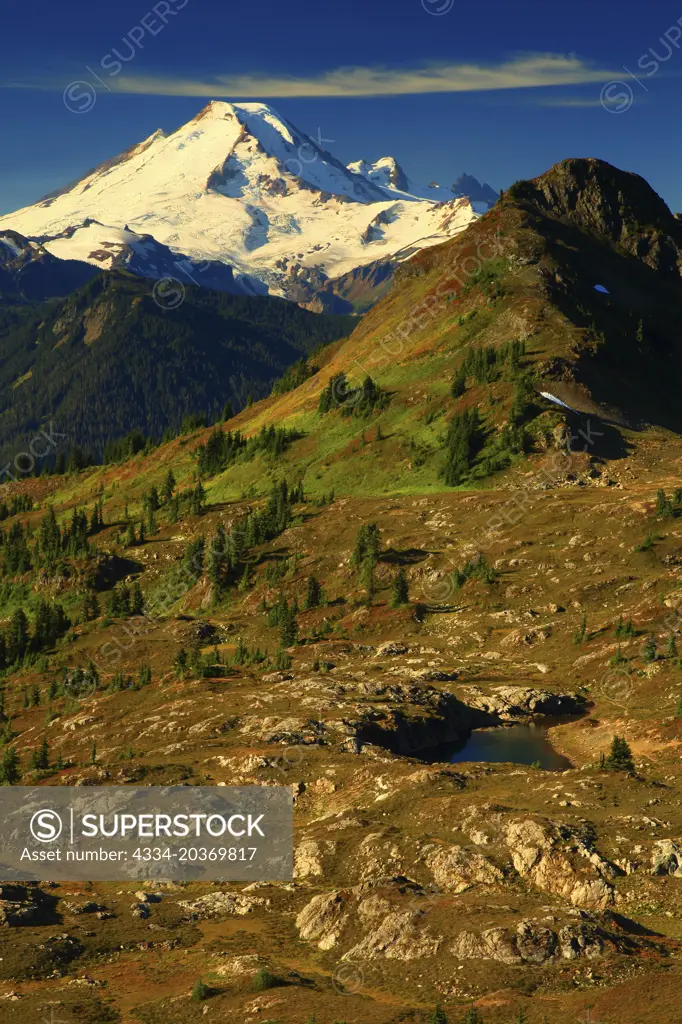 Morning Light Mt Baker Viewed From Yellow Aster Butte in the Mt Baker Wilderness of Washington