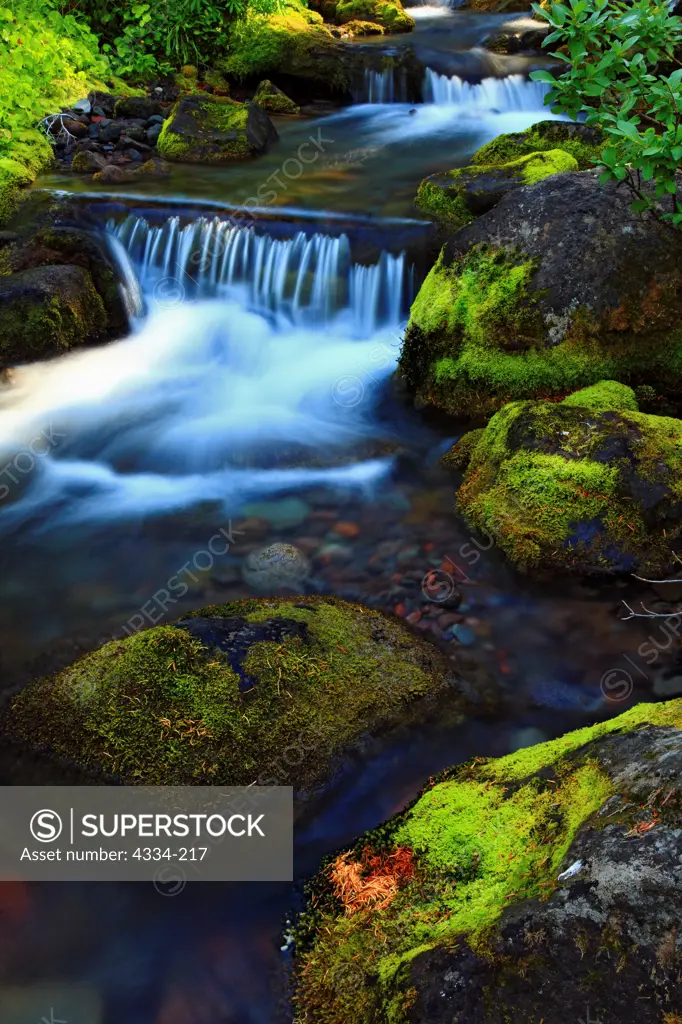 A small waterfall on Whitewater Creek, in the Mount Jefferson Wilderness, Oregon.