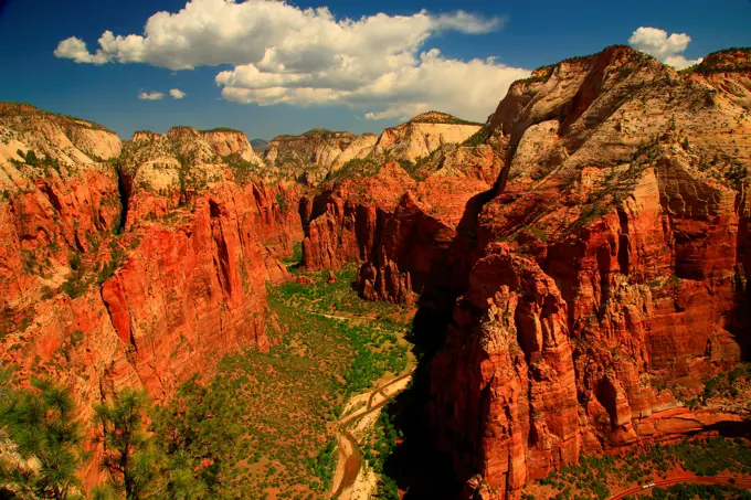 USA, Utah, Zion National Park, Zion Canyon from Angels Landing