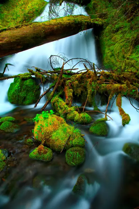 USA, Washington, Olympic National Park, Waterfall on Ennis Creek