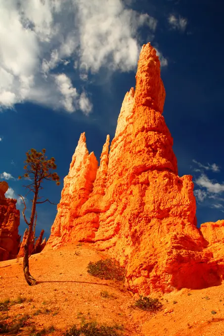 Hoodoos rock formations, Queens Garden, Bryce Canyon, Bryce Canyon National Park, Utah, USA