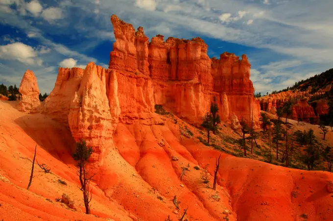 Fairyland Loop Trail Hoodoos in Bryce Canyon, Bryce Canyon National Park, Utah, USA