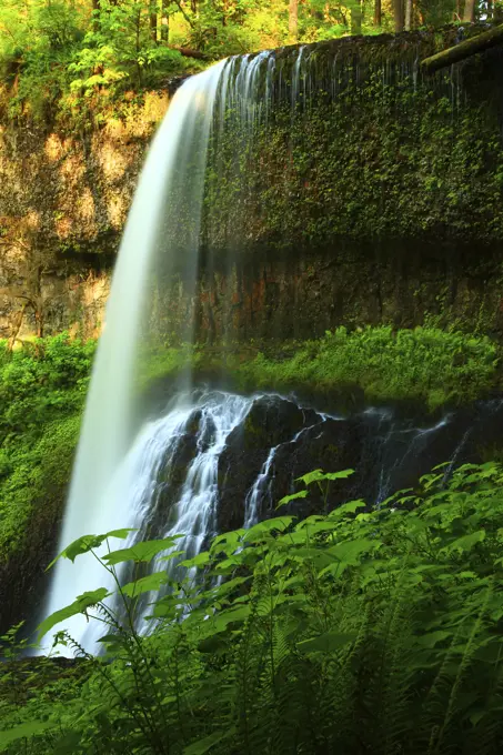 Middle North Falls Flows Over Basalt Cliffs in Silver Falls State Park in Oregon