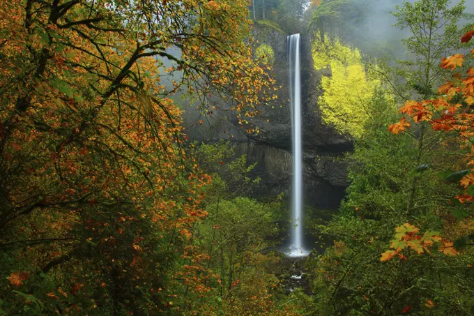 Fall Color and Latourell Falls in the Columbia River Gorge National Scenic Area of Oregon