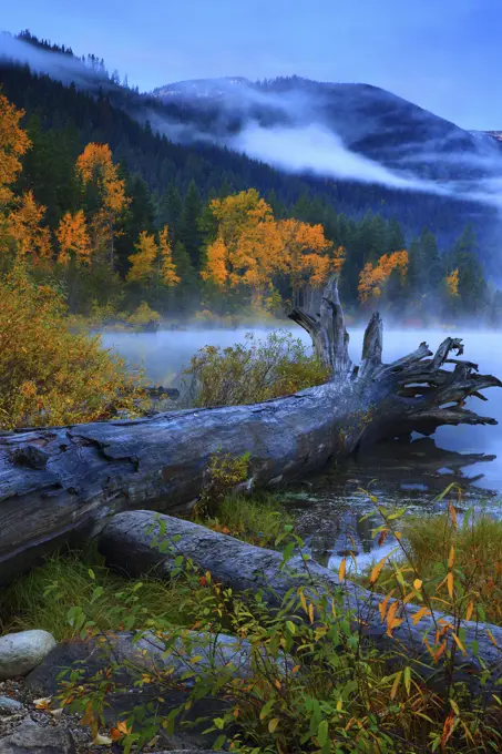 Fall Color and Lake Wenatchee From Lake Wenatchee State Park in Washington