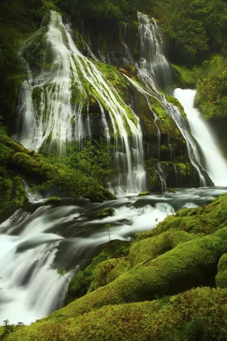 Panther Creek Falls in Skamania County in ther Gifford Pinchot National Forest of Washington