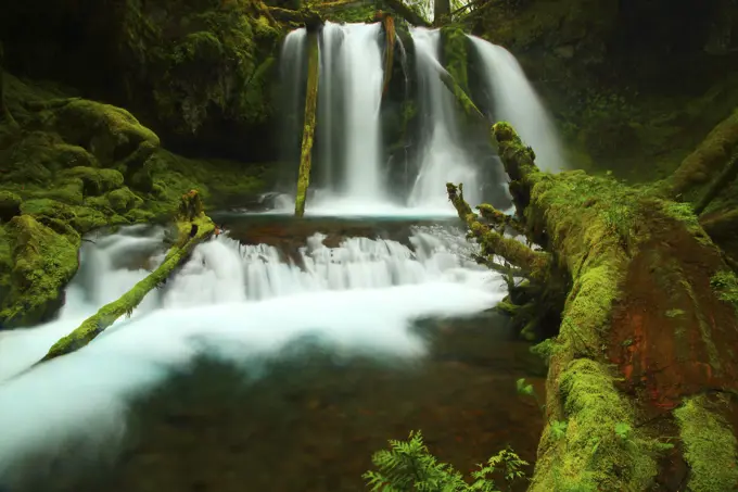 Lower Panther Creek Falls in Skamania County in ther Gifford Pinchot National Forest of Washington