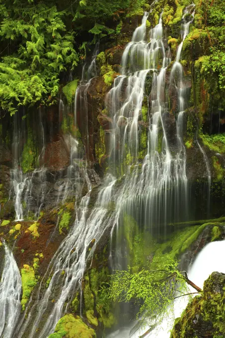 Panther Creek Falls in Skamania County in ther Gifford Pinchot National Forest of Washington